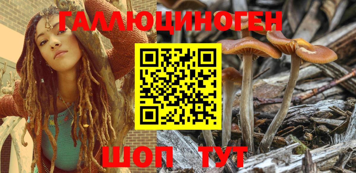 Галлюциногенные грибы Psilocybe  Вход с VPN  Новоуральск 