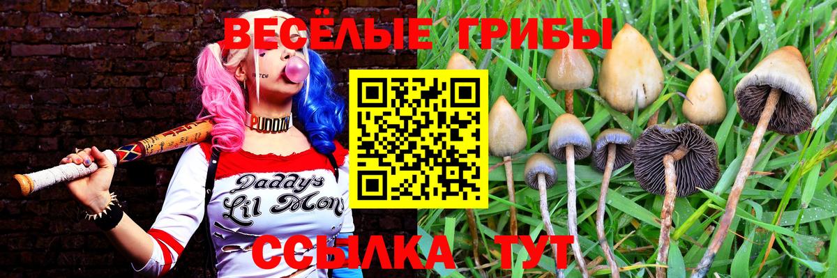 Галлюциногенные грибы MAGIC MUSHROOMS Новоуральск